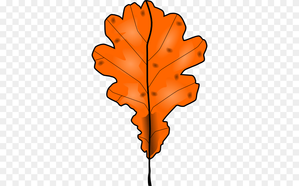 Tree Leaf Clip Art, Plant, Dynamite, Maple Leaf, Weapon Png Image
