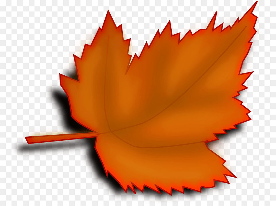 Tree Leaf Clipart, Plant, Maple Leaf, Maple Free Png