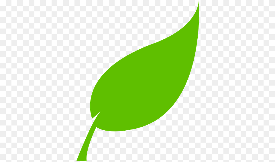 Tree Leaf Vector, Green, Plant, Bud, Flower Png Image