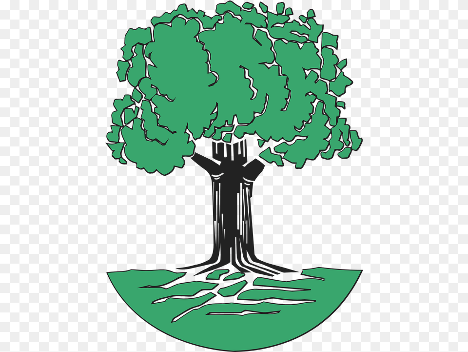 Tree Leaves Oak Oak Tree Clip Art, Plant, Vegetation, Person, Face Png Image