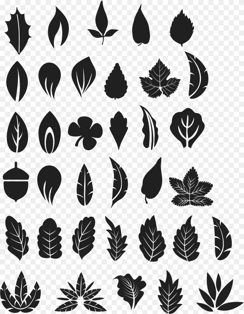Tree Leaves Vectors, Stencil, Plant, Leaf, Silhouette Png