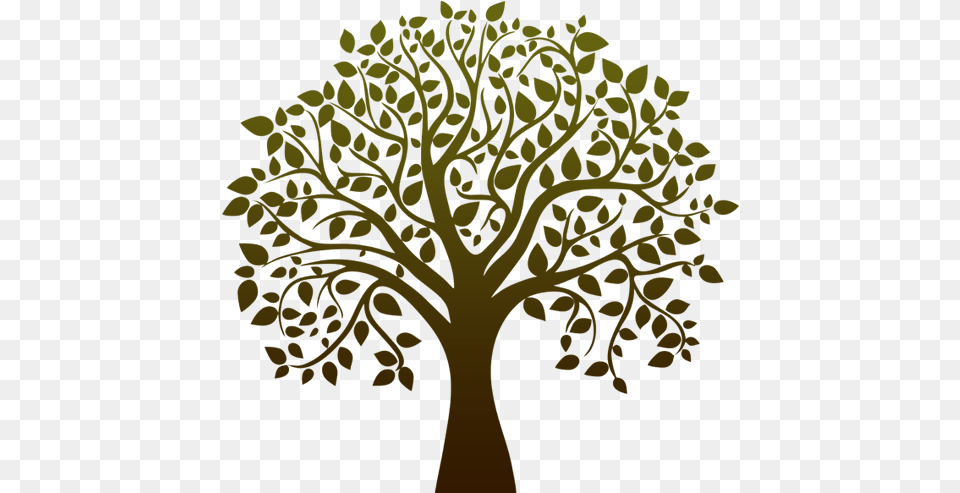 Tree Life Transparent Images Bodhi Tree Vector, Oak, Plant, Sycamore, Tree Trunk Free Png Download