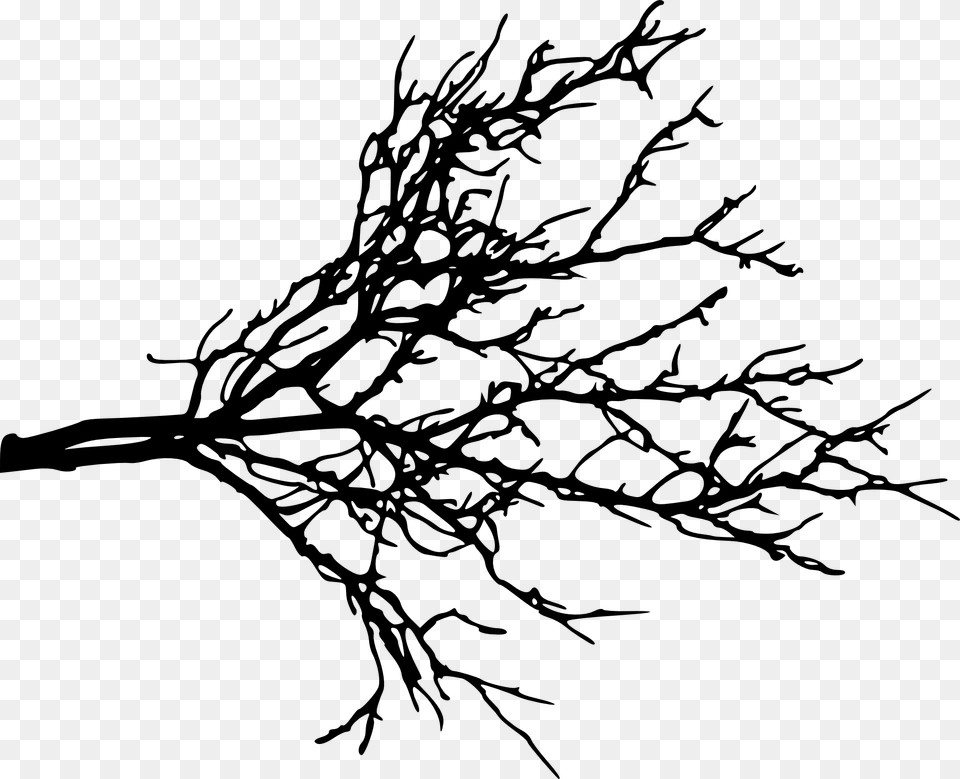 Tree Limb Transparent Tree Limb, Art, Drawing, Silhouette Png Image