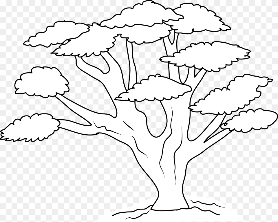 Tree Line Art 9 550 X 438 Webcomicmsnet Big Tree Coloring, Drawing, Baby, Person Png Image