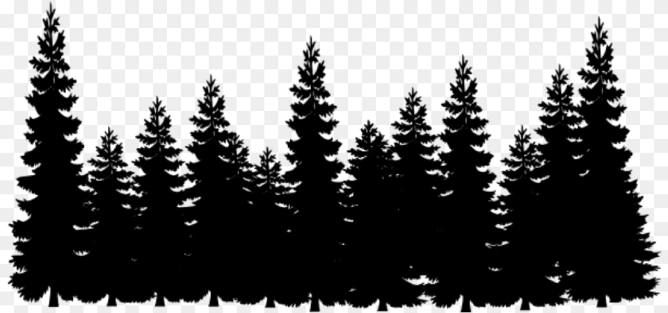 Tree Line Black Pine Tree Silhouette, Gray Free Png Download