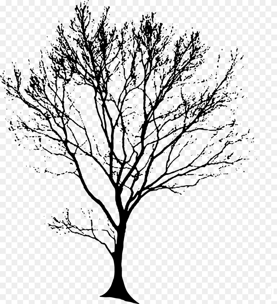 Tree Line Drawing Free Png Download