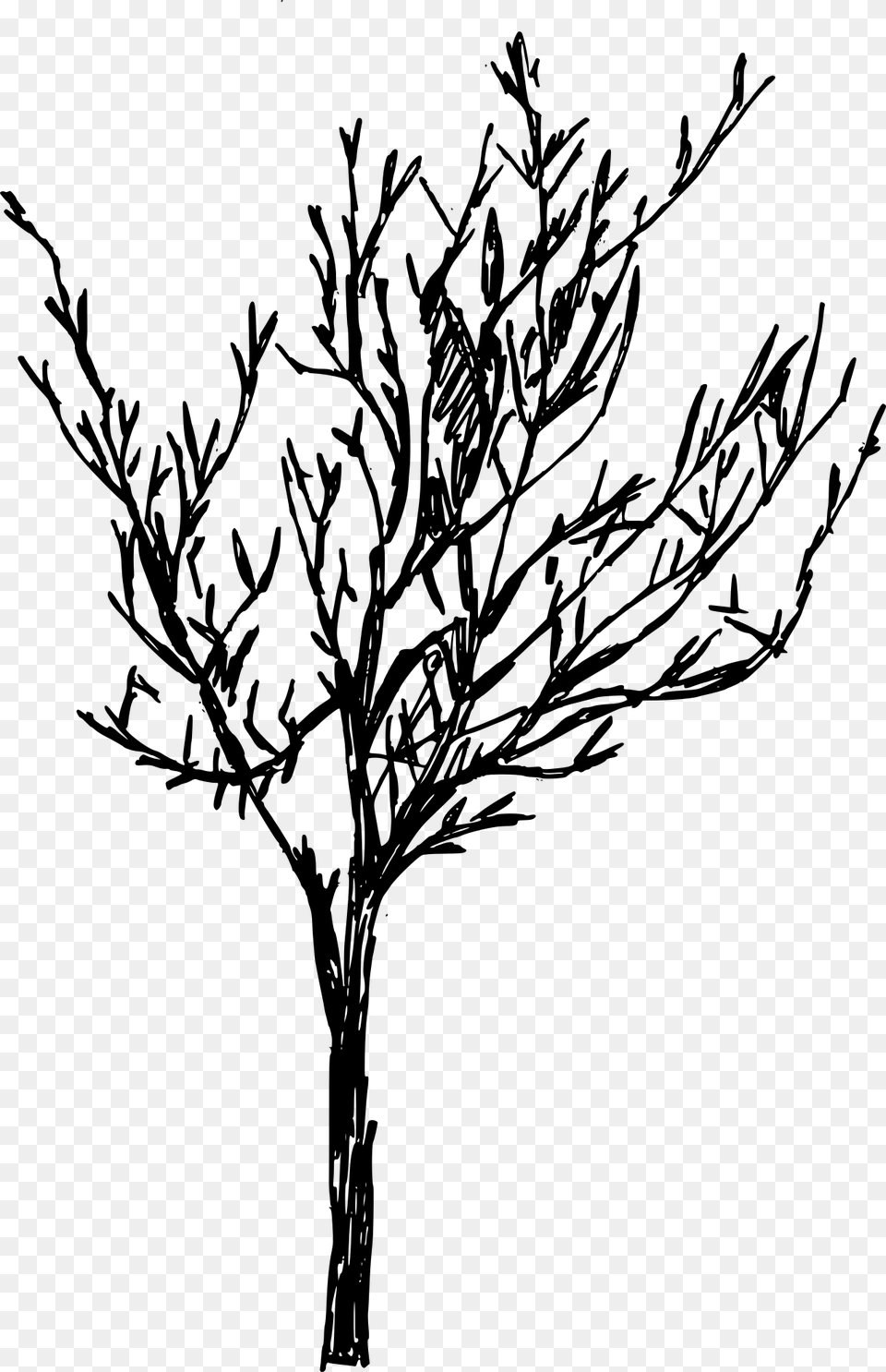 Tree Line Drawing, Gray Free Transparent Png