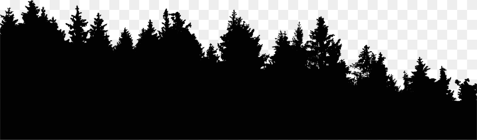 Tree Line Silhouette, Plant, Nature, Night, Outdoors Free Png