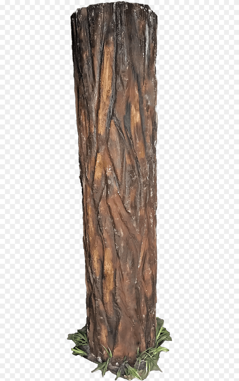 Tree Log Tree Trunk Transparent Background, Plant, Tree Trunk Png Image
