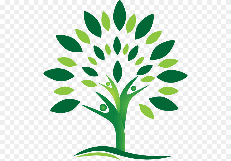 Tree Logo, Art, Graphics, Green, Pattern Free Transparent Png