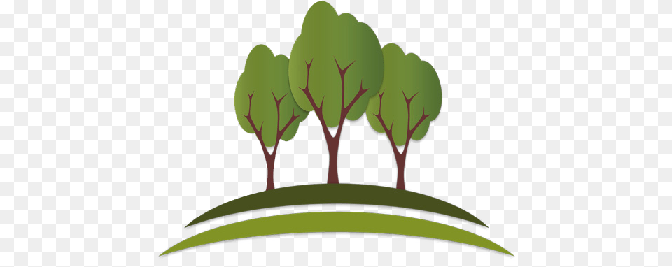 Tree Logo V1 App22 Illustration, Green, Plant, Vegetation, Outdoors Png