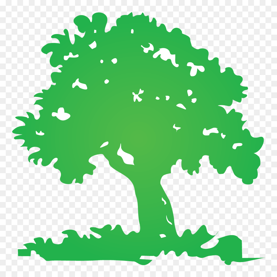 Tree Logos, Green, Sycamore, Oak, Plant Png