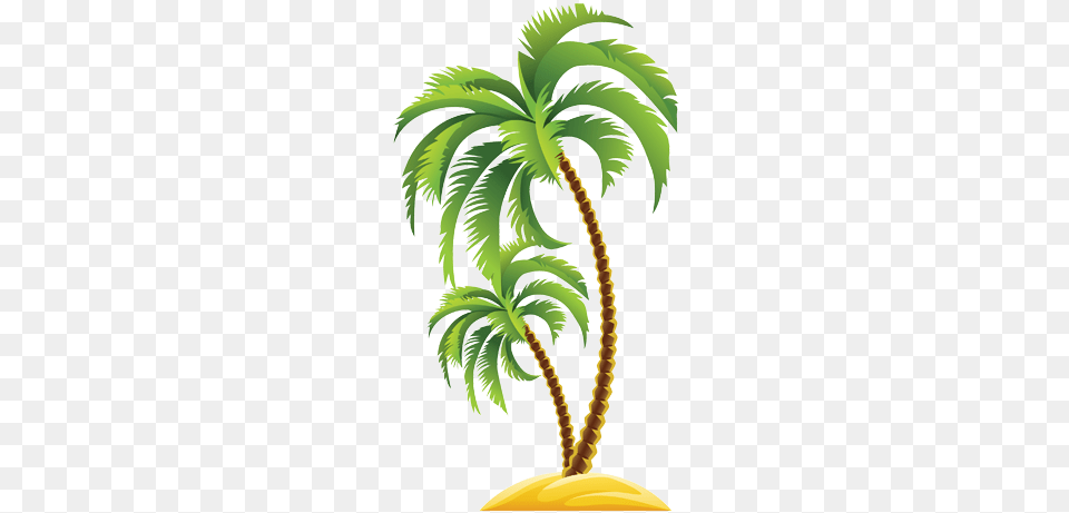 Tree Logos Of Coconut Tree, Palm Tree, Plant, Person Free Png Download