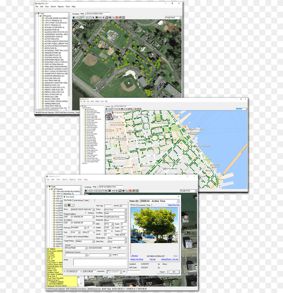 Tree Management Software Plan, Chart, Diagram, Plot, Neighborhood Free Png Download