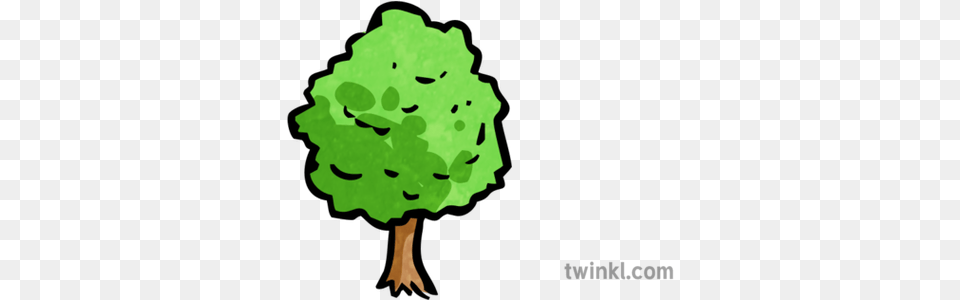 Tree Map Icon 1 Illustration Twinkl Icon Baum, Green, Plant, Person, Face Free Transparent Png
