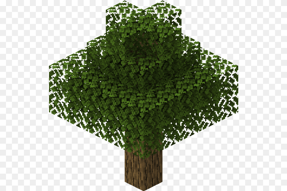 Tree Minecraft Oak Tree, Fashion, Green, Vegetation, Plant Free Png