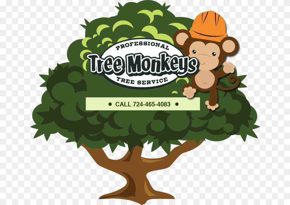 Tree Monkey Tree Service Green Monkey Tree Service, Plant, Vegetation, Art, Graphics Free Png Download