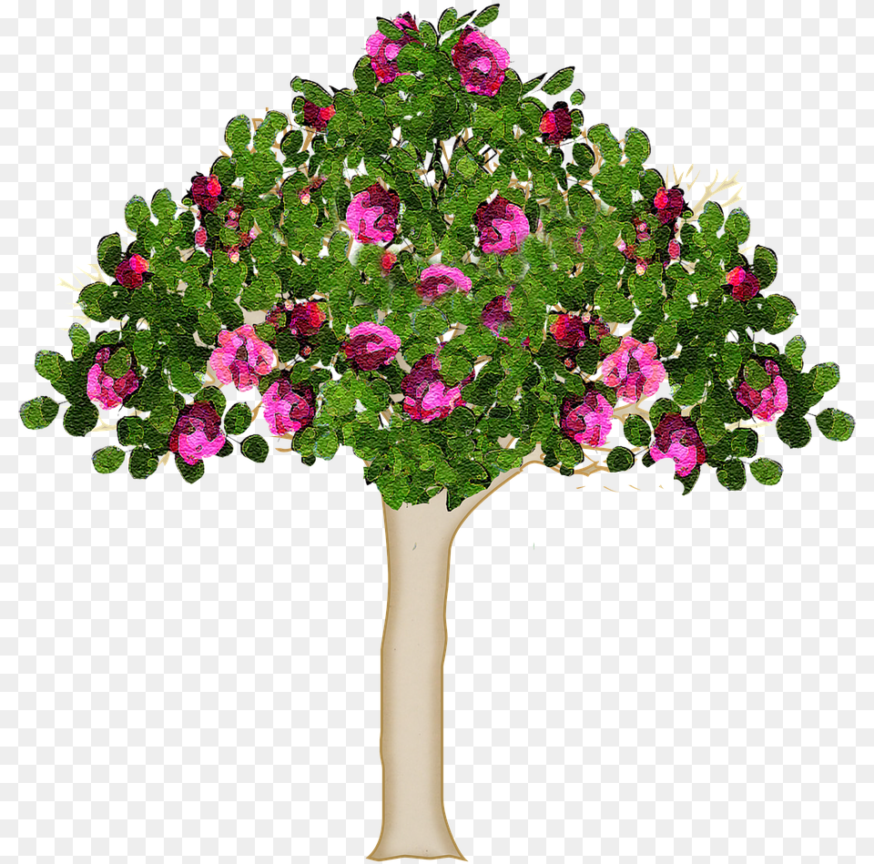 Tree Nature Forest Photo Kwitnce Drzewo, Flower, Flower Arrangement, Flower Bouquet, Geranium Free Transparent Png