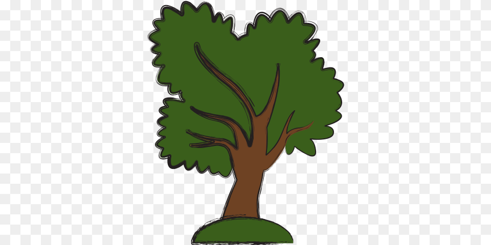 Tree Nature Symbol Vector, Plant, Tree Trunk, Vegetation, Oak Png Image