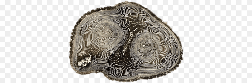 Tree Nature That39s All Folks Transparent Tree Stump Woodcut By Bryan Nash Gill, Accessories, Agate, Gemstone, Jewelry Png Image