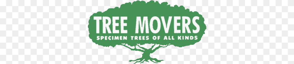 Tree Nursery Information Mountain View Ca Tree Movers Language, Green, Plant, Vegetation, Land Free Png Download