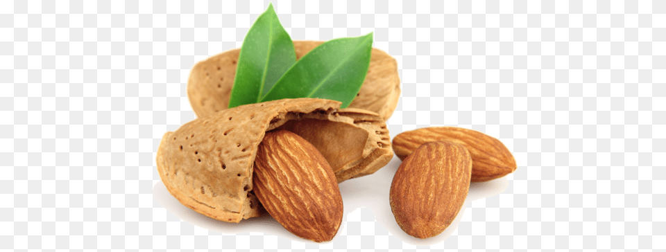 Tree Nuts Processing Equipment Almond Nut, Food, Grain, Produce, Seed Png Image