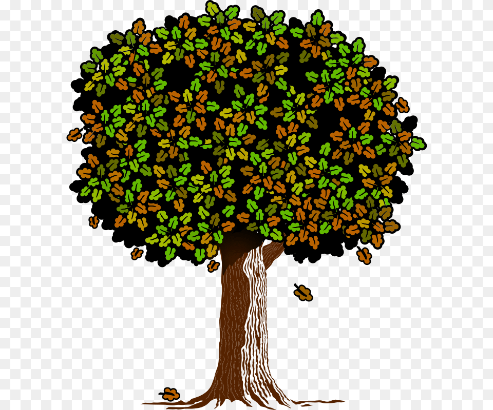 Tree Oak, Vegetation, Plant, Art, Pattern Png Image