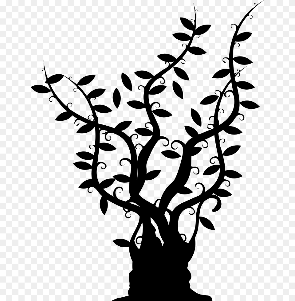 Tree Of Gross Trunk With Long Thin Branches With Leaves Thin Trunk Tree Black And White, Art, Silhouette, Graphics, Stencil Png Image
