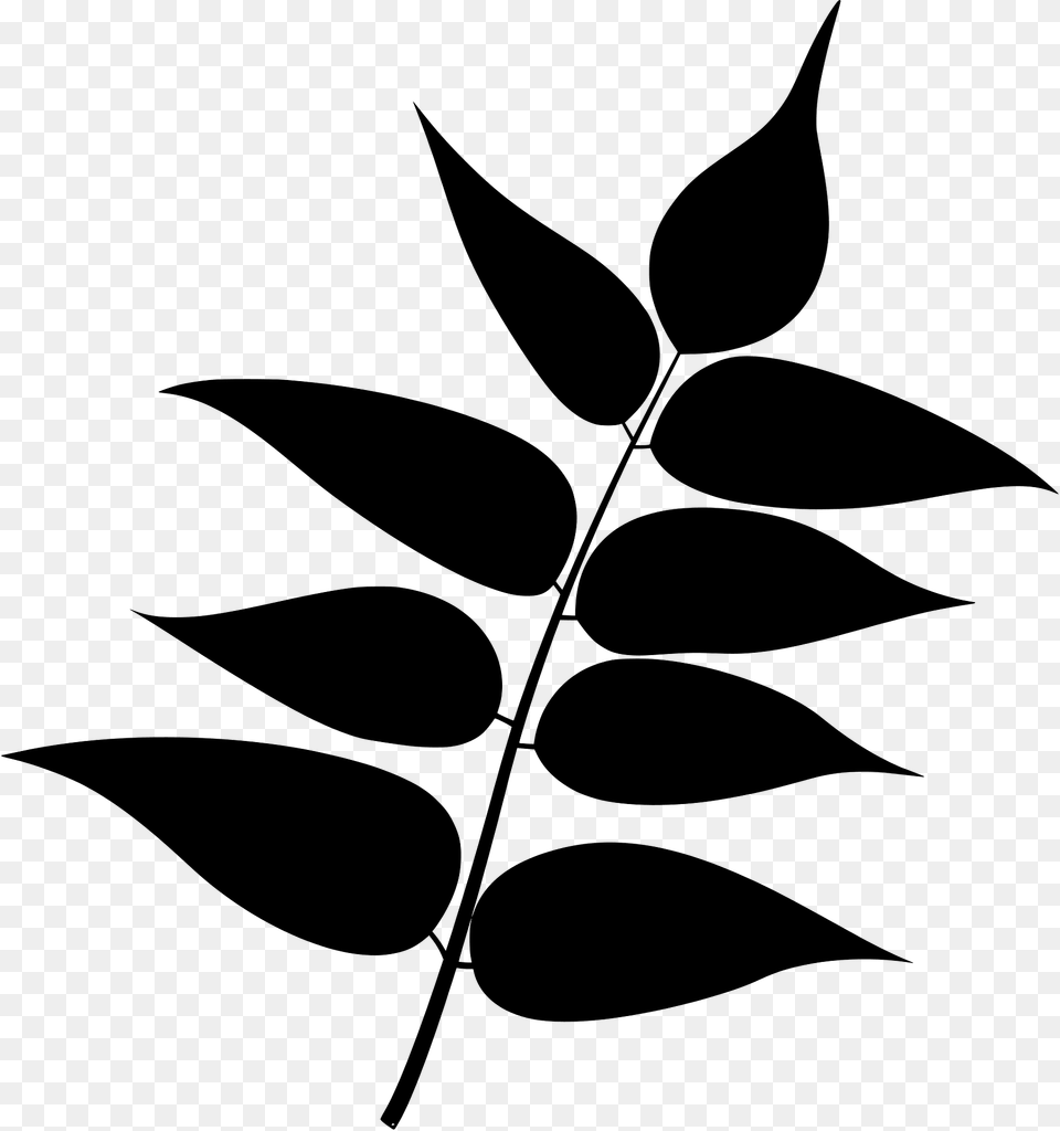 Tree Of Heaven Leaf Silhouette, Green, Plant, Animal, Fish Free Png