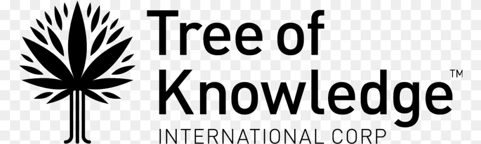 Tree Of Knowledge International Corp, Gray Png Image