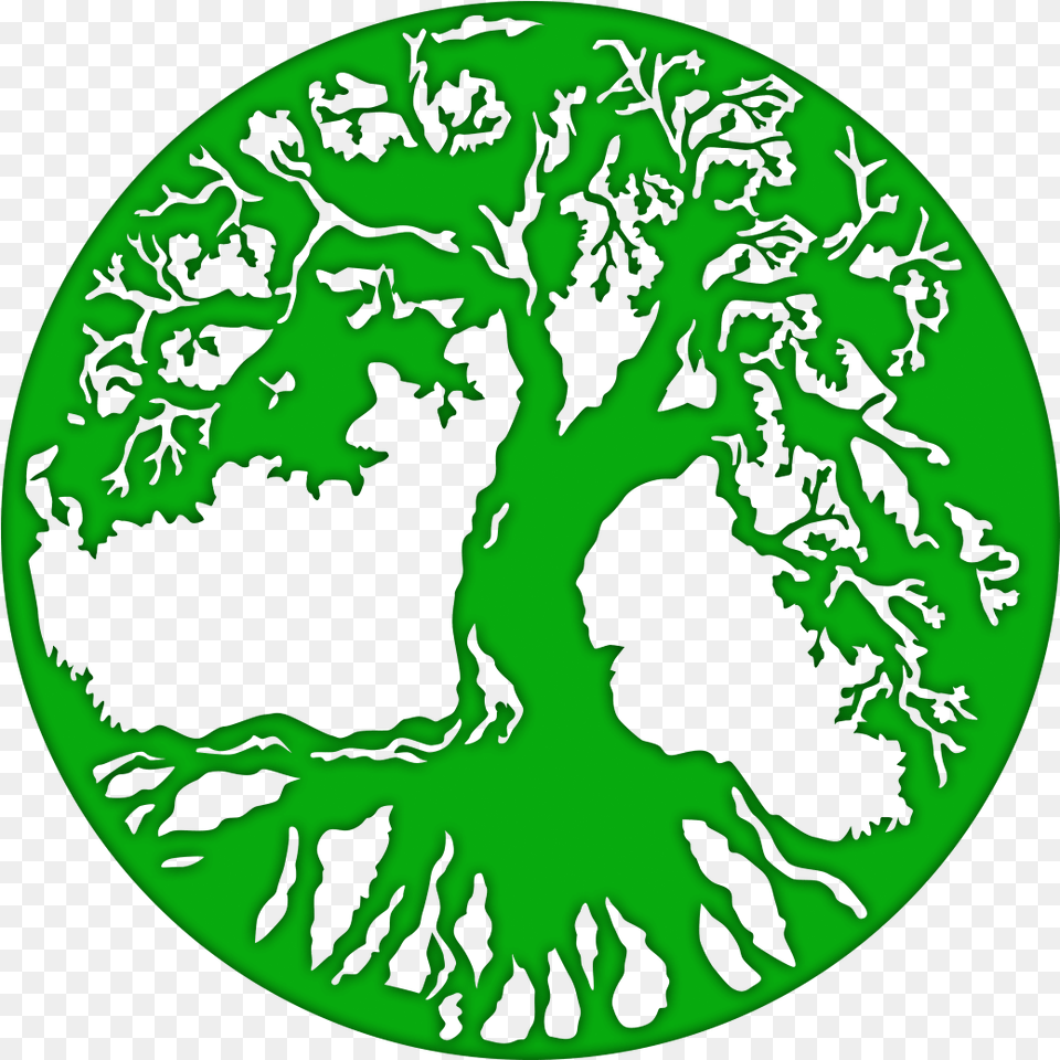 Tree Of Life, Green, Ct Scan, Purple, Pattern Png Image