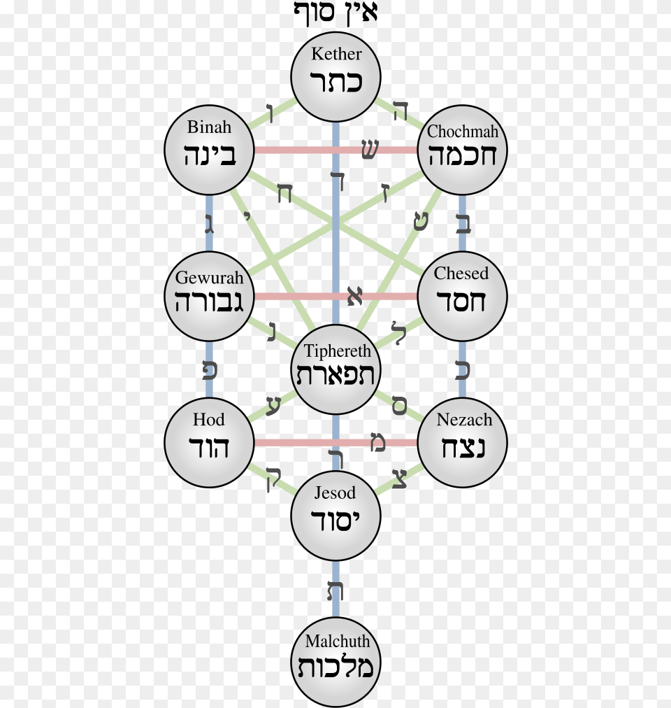 Tree Of Life, Diagram Free Png