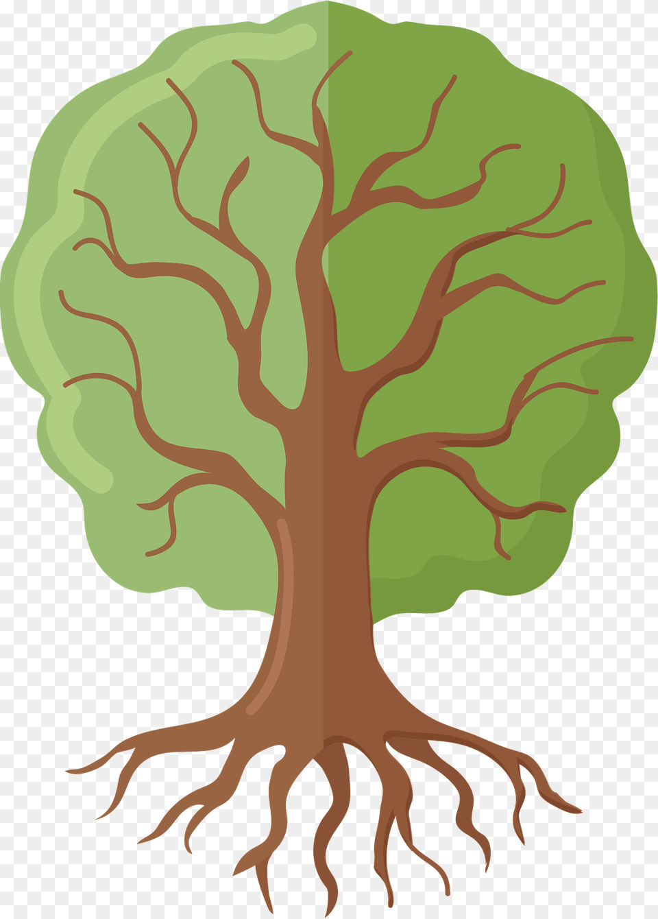 Tree Of Life Clipart, Plant, Root, Vegetation, Person Png