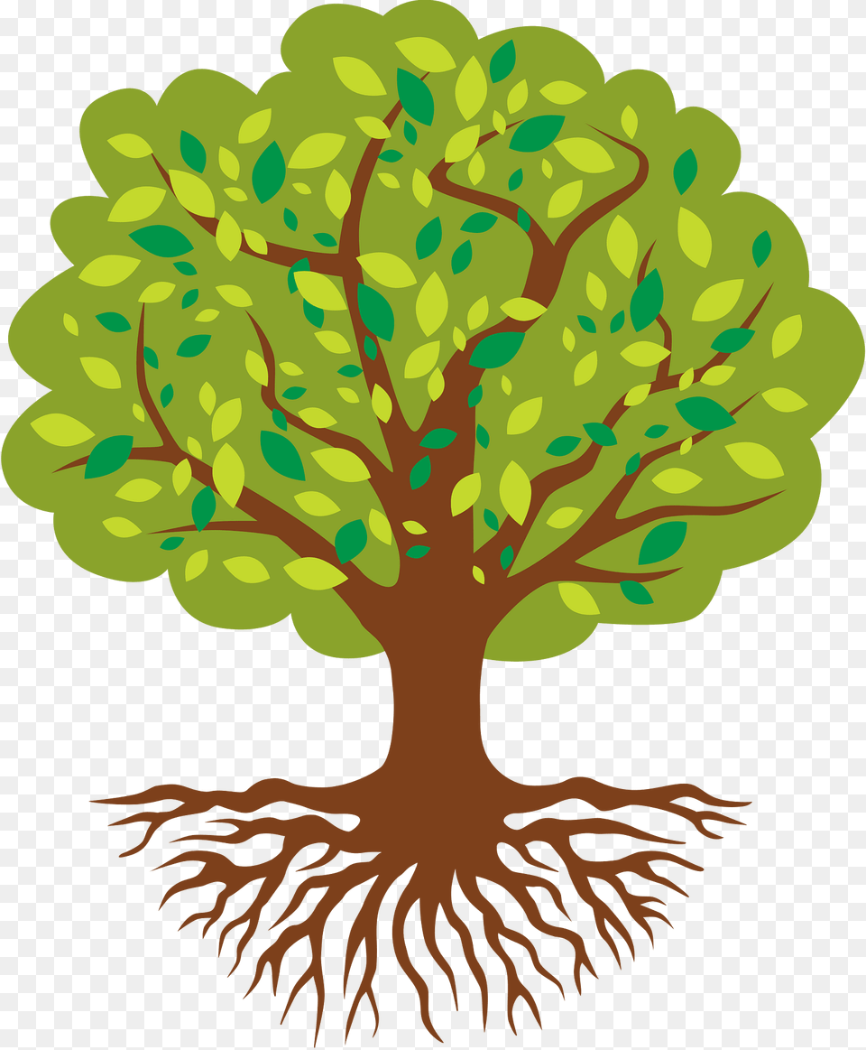 Tree Of Life Clipart, Plant, Oak, Vegetation, Sycamore Free Transparent Png