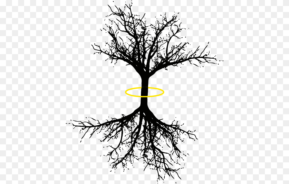Tree Of Life Coniferous Tree Long Roots, Logo, Nature, Night, Outdoors Png Image