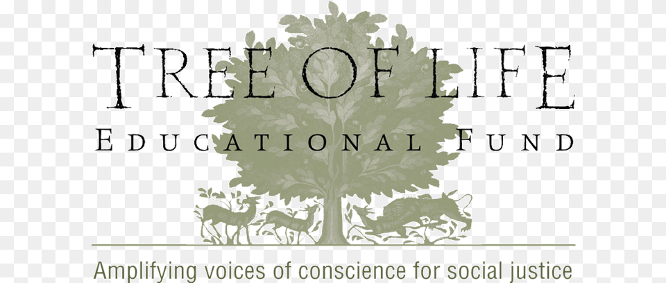 Tree Of Life Educational Fund Logo, Herbs, Plant, Herbal, Leaf Png Image