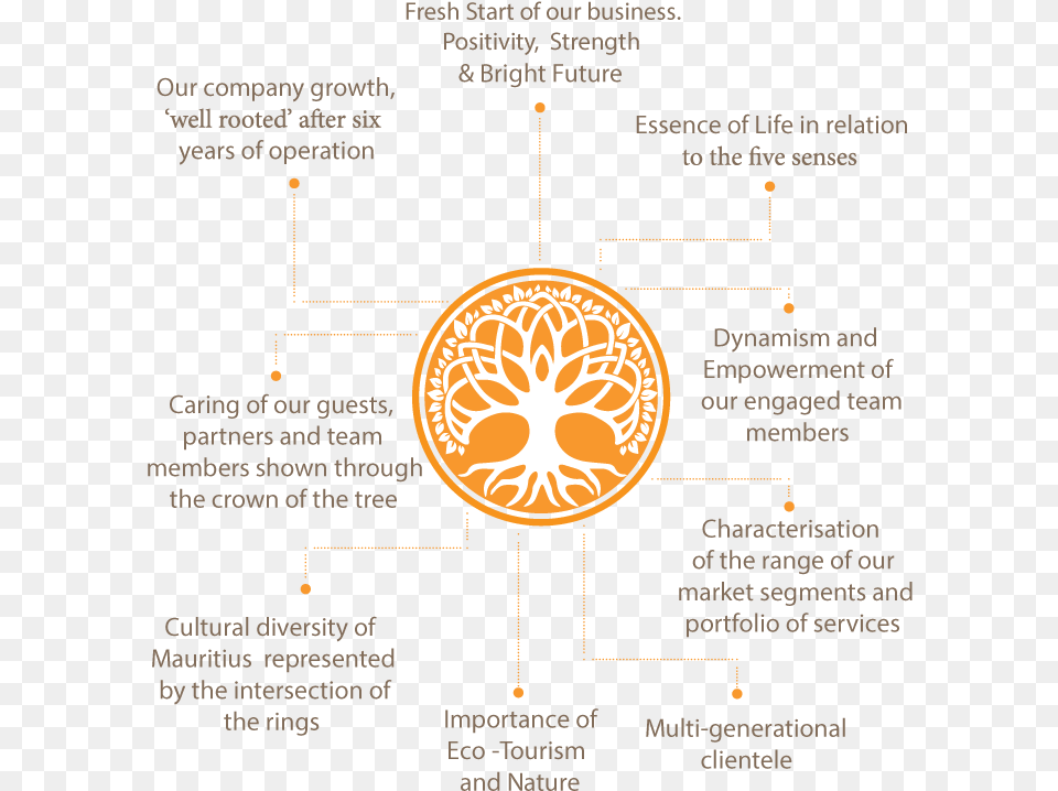 Tree Of Life Emotion Diagram, Beverage, Coffee, Coffee Cup Free Png Download