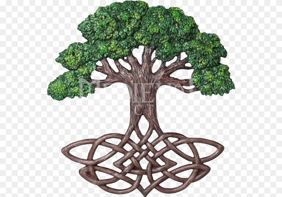 Tree Of Life Plaque, Plant, Food, Produce, Broccoli Png