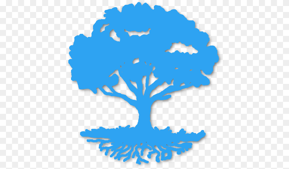 Tree Of Life Silhouette, Plant, Outdoors, Person, Face Free Png