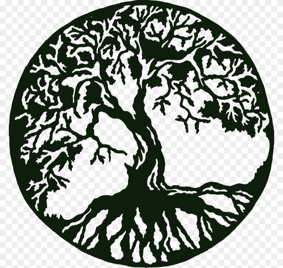 Tree Of Life Background Tree Of Life Arr, Moss, Plant, Vegetation, Green Free Transparent Png