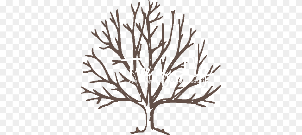 Tree Of Life Wire Working Accessories, Art, Plant, Drawing Png