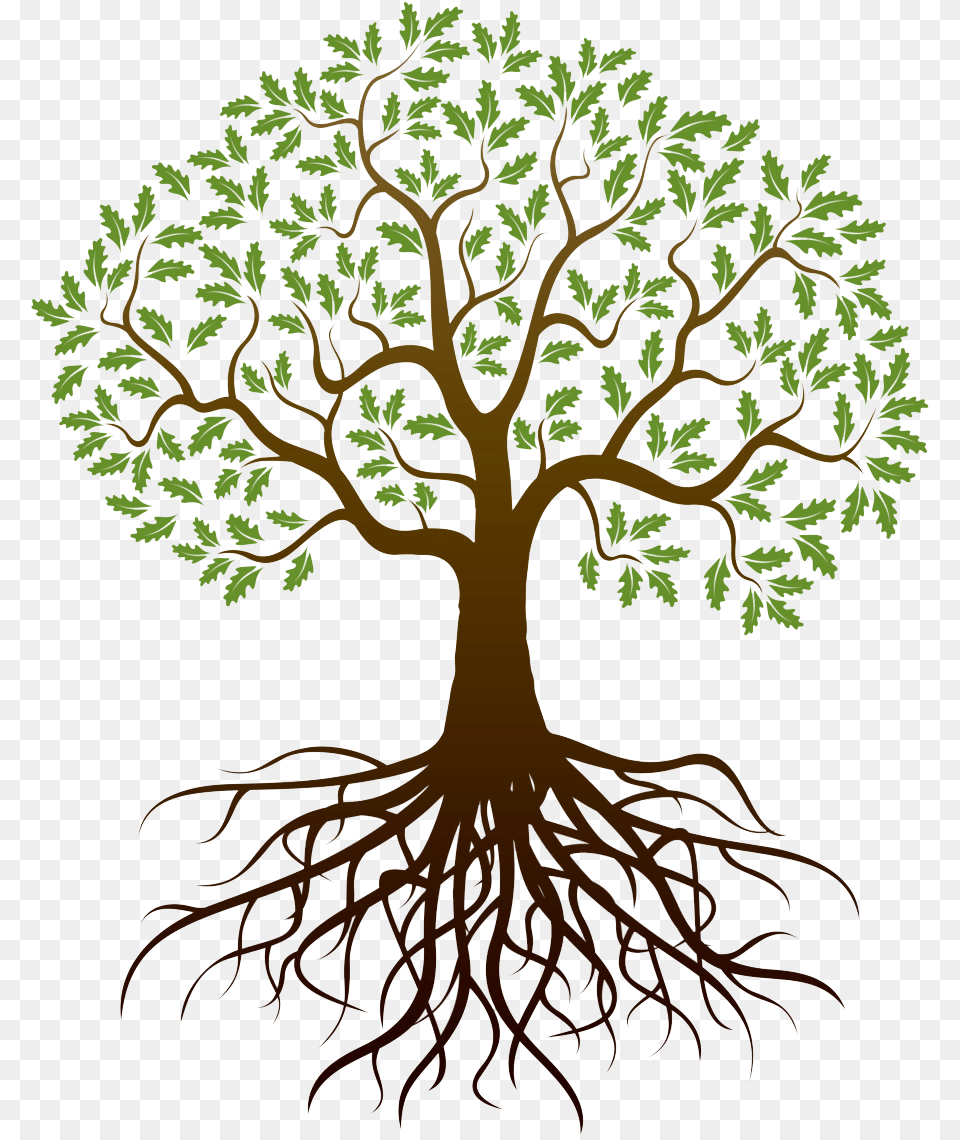 Tree Of Life With Roots Clipart Tree With Roots Clipart, Art, Plant, Root, Drawing Png Image