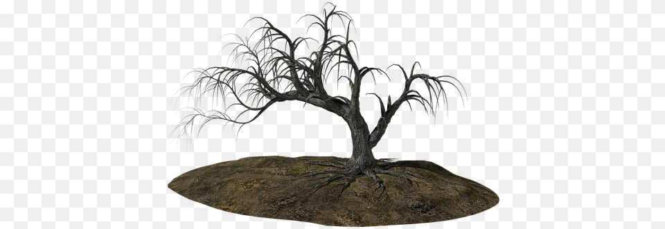 Tree Old Ill Old Tree Nature Wood Gnarled Black Gnarled Trees Background, Plant, Outdoors, Weather, Ice Png Image