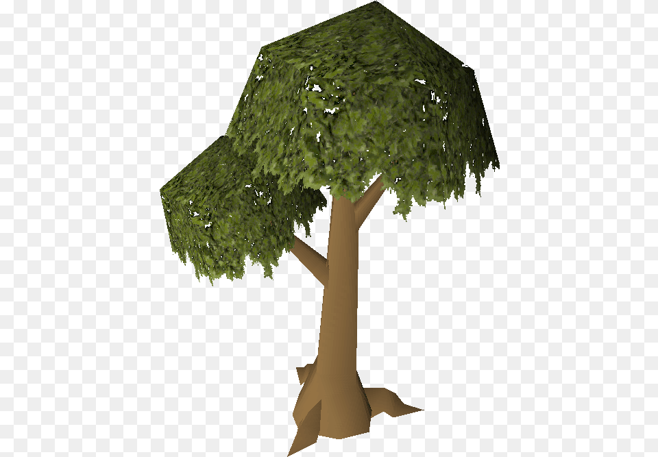 Tree Osrs Wiki Old School Runescape Tree, Plant, Tree Trunk, Vegetation Png Image