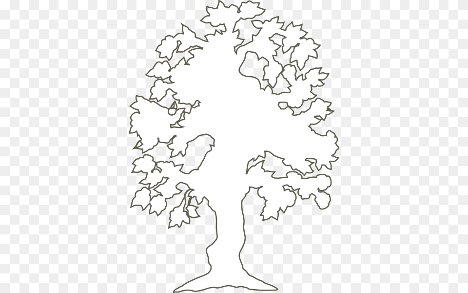 Tree Outline Clip Art, Drawing, Stencil Free Png