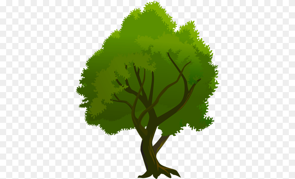 Tree Para Firmas De Correo, Green, Vegetation, Plant, Oak Free Png