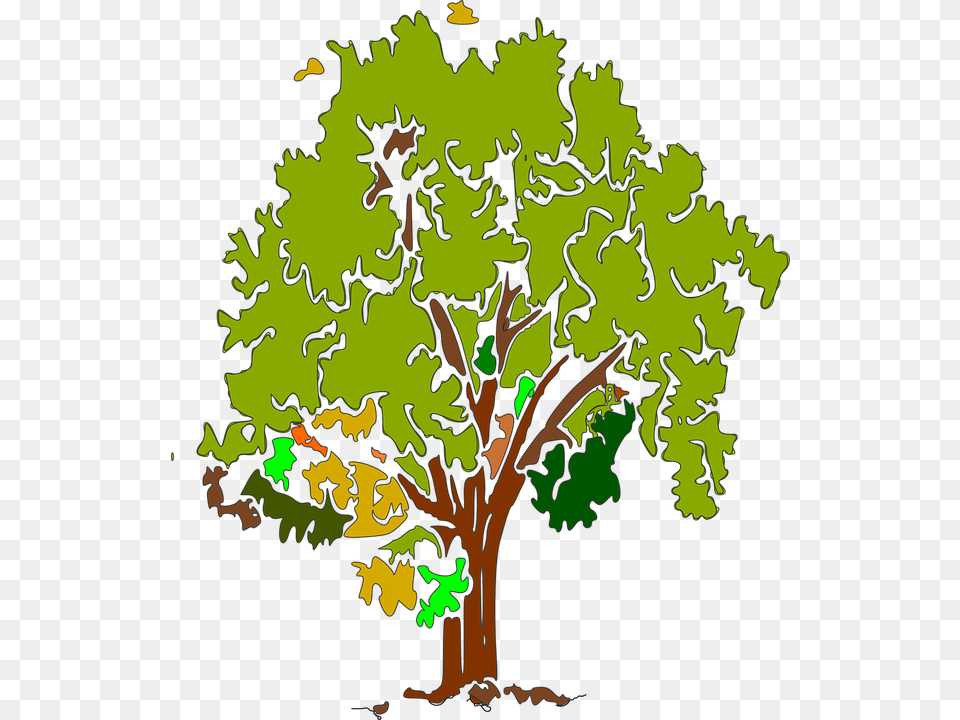 Tree Park Clipart, Oak, Plant, Sycamore, Person Free Png Download