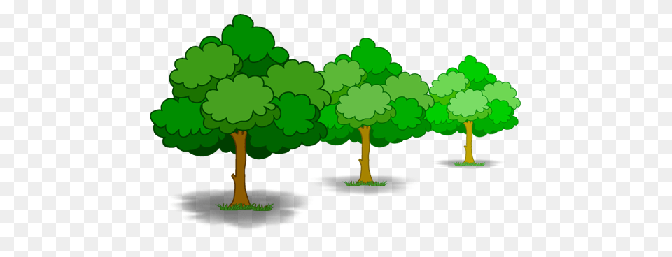 Tree Pest Control Tree Treatments Andersons San Jose, Green, Outdoors, Nature, Plant Free Png Download