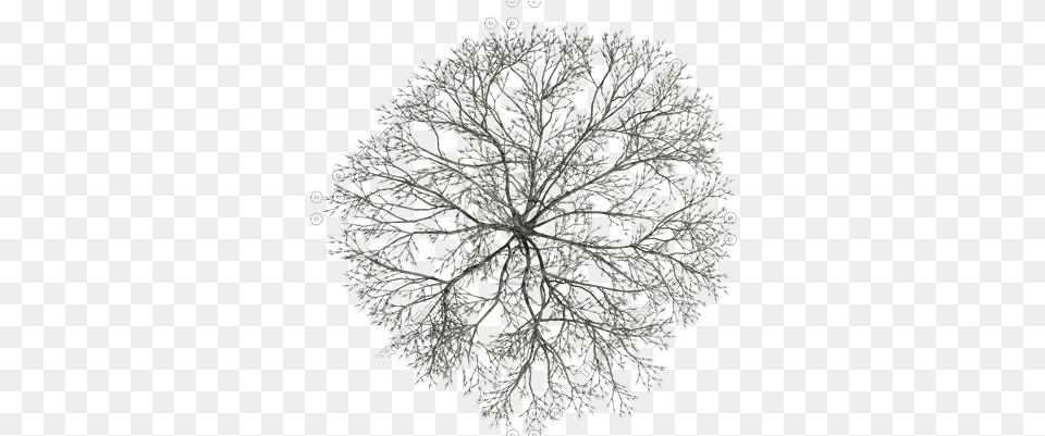 Tree Photoshop Tree Top Black And White, Sphere, Chandelier, Lamp, Pattern Free Transparent Png