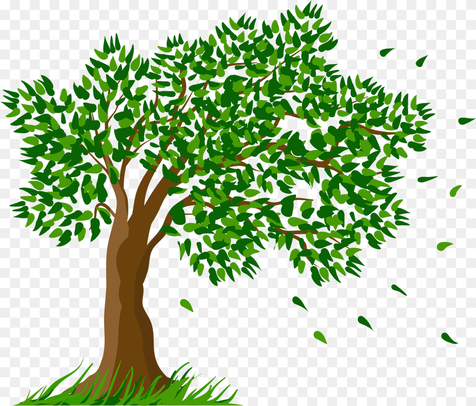 Tree Pine Arecaceae Clip Art Clipart Tree With Transparent Background, Vegetation, Green, Plant, Oak Png Image